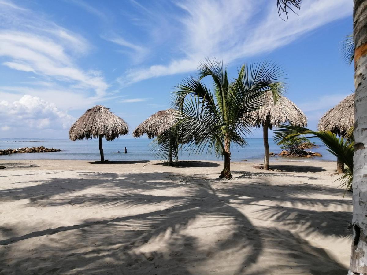Cabanas La Cuchita Rnt 61621 Coveñas Extérieur photo